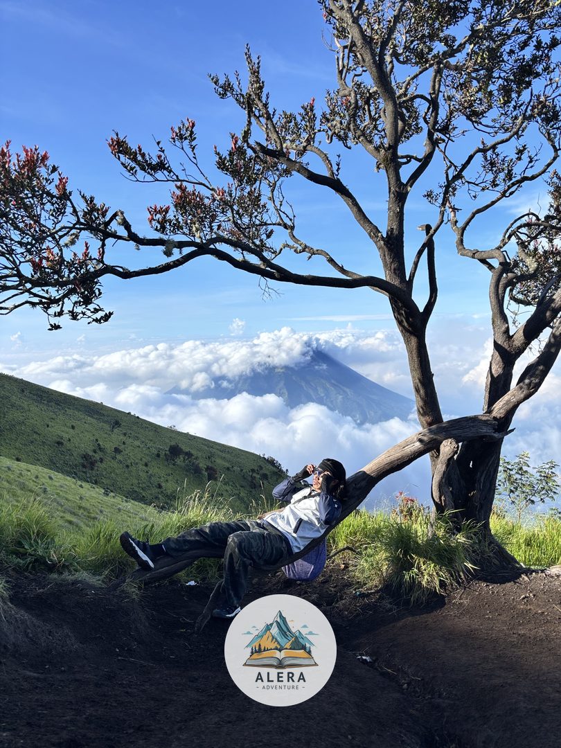 Peralatan ultralight backpacking yang ringkas dan efisien