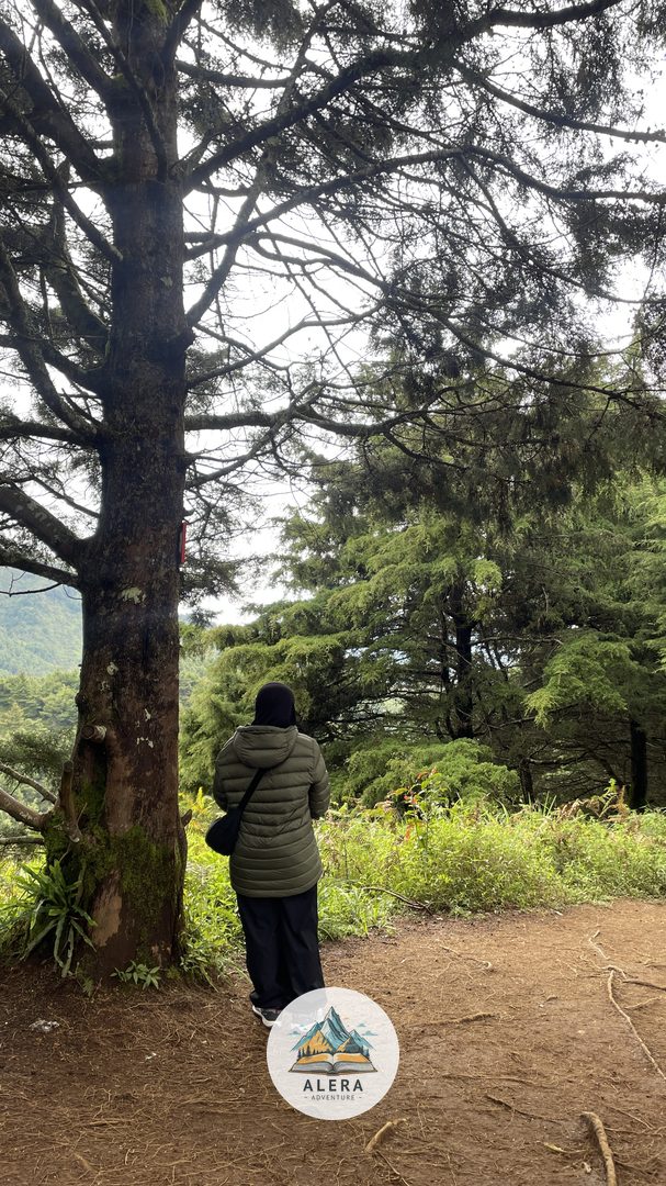 Prosedur administrasi simaksi pendakian gunung bagi pemula