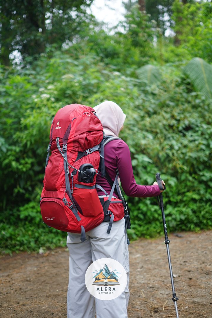 pendaki melakukan summit attack dini hari di gunung