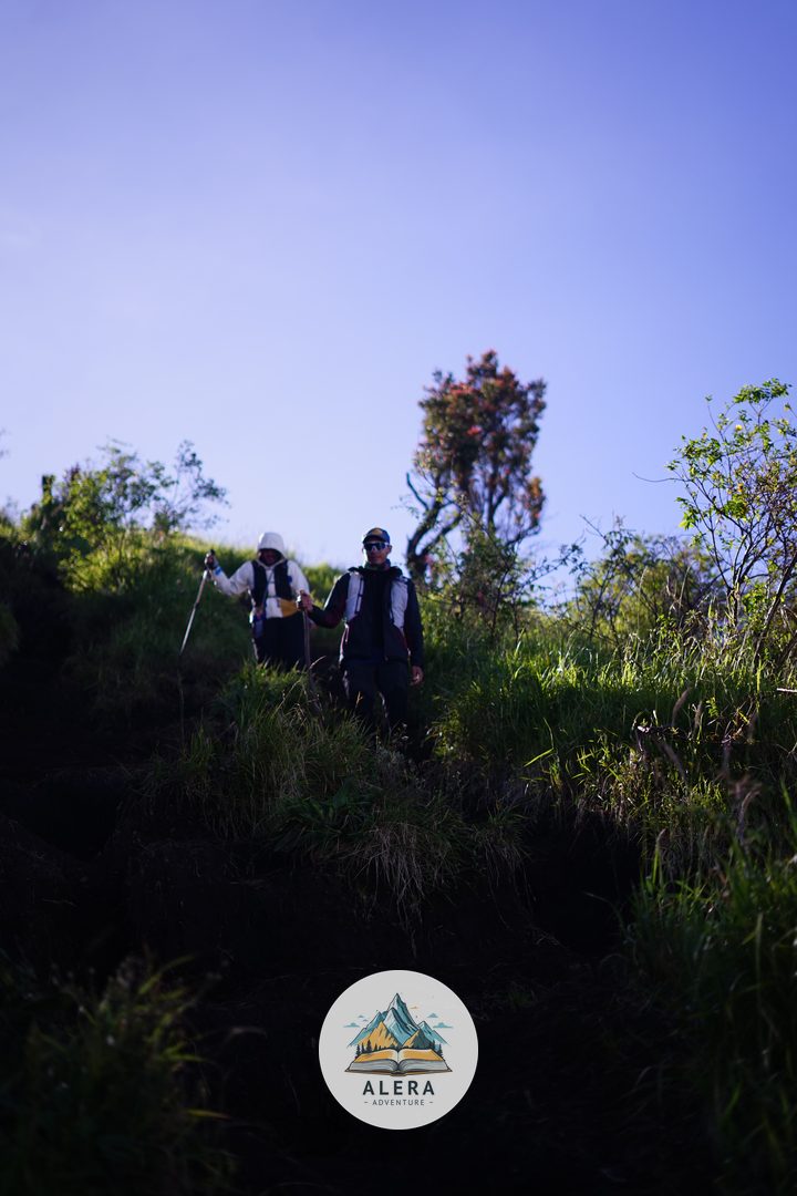 Mengungkap Perbedaan Fungsi Pos Bayangan dan Pos Utama Saat Mendaki Gunung: Panduan Lengkap untuk Pendaki Pemula