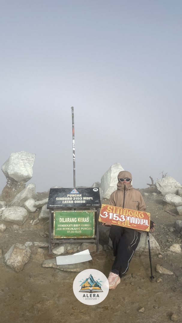 Padang sabana edelweiss di Gunung Sindoro dengan latar kawah dan puncak