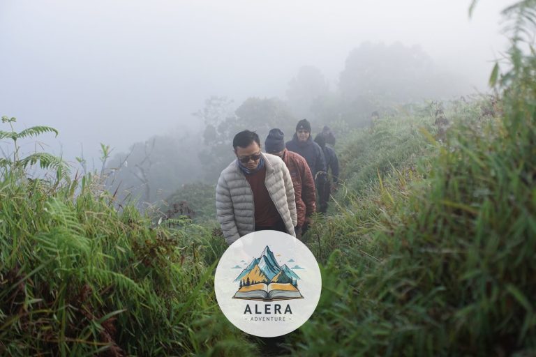 Menaklukkan Gunung Slamet via Bambangan: Analisis Mendalam Karakteristik Trek Bebatuan dan Debu
